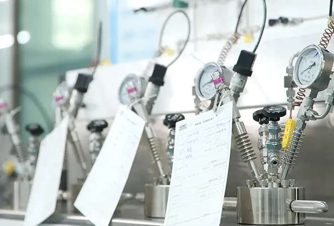 From Lab to Plant: Scalable Process Development Path