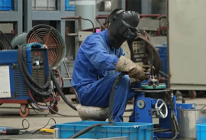 Process development and testing support services